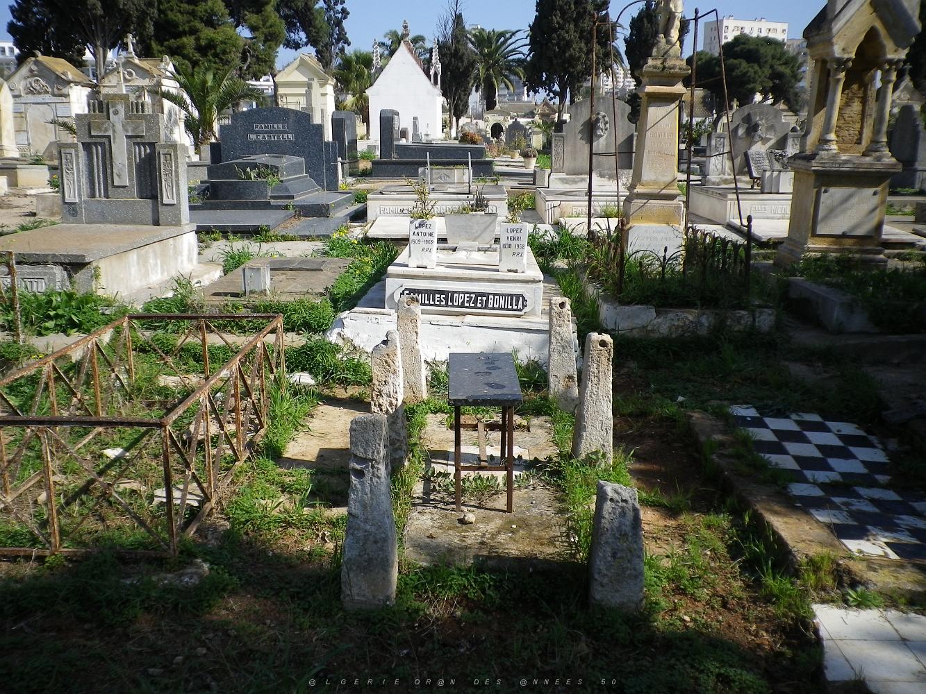 CIMETIERE DE TAMAZOUHET D ORAN EN MARS 2012  (148).JPG